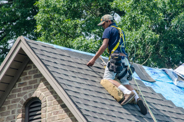 Best Roof Repair Services  in Jefferson, GA